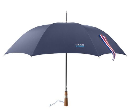 Le Parapluie de Cherbourg