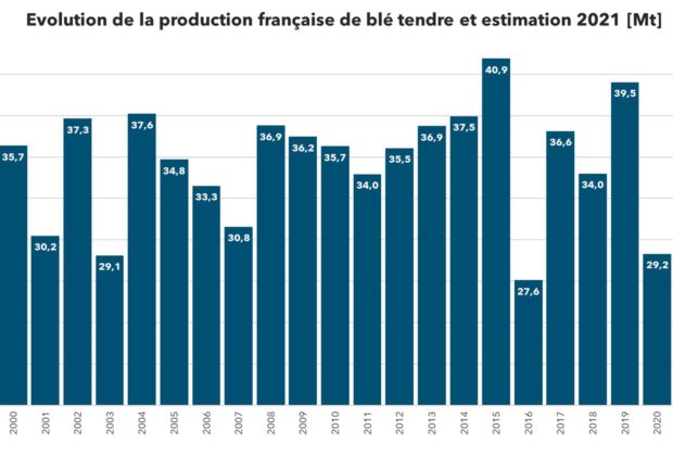 Bilan de la récolte de blé français 2021