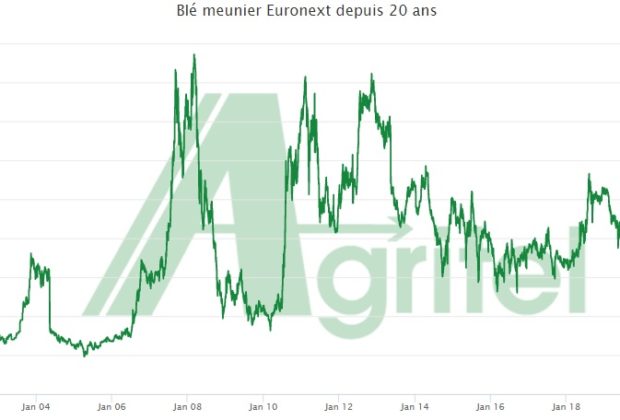 Record historique du prix du blé